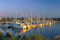 A marina full of boats.