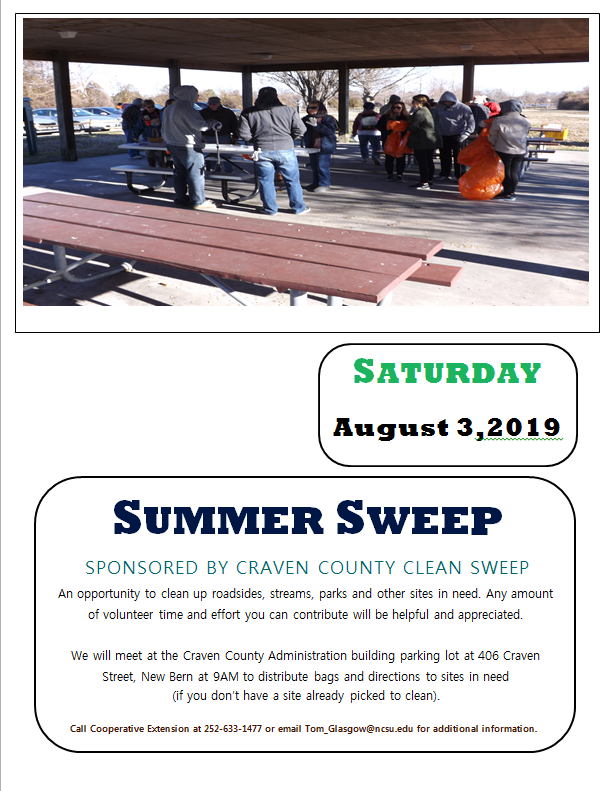Summer Street Sweep 2019
